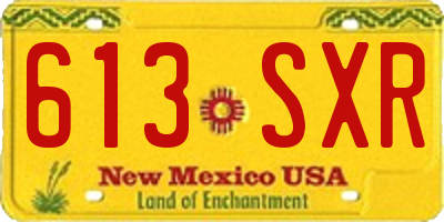 NM license plate 613SXR