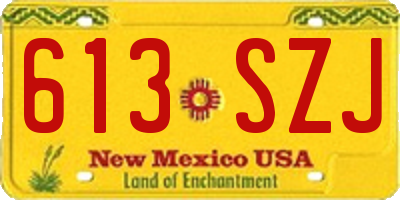 NM license plate 613SZJ