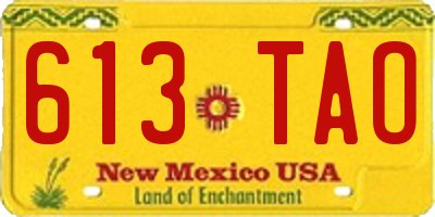 NM license plate 613TAO