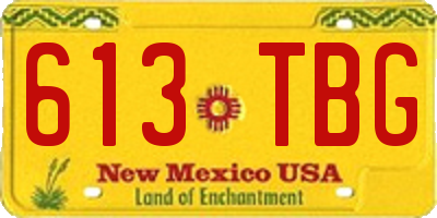 NM license plate 613TBG
