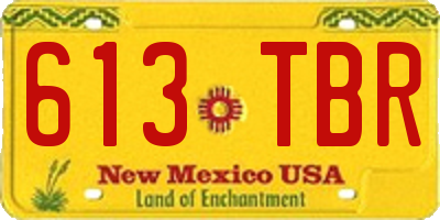 NM license plate 613TBR