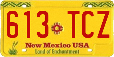 NM license plate 613TCZ