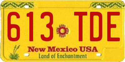 NM license plate 613TDE