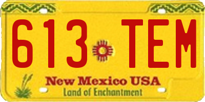 NM license plate 613TEM