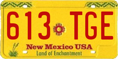 NM license plate 613TGE