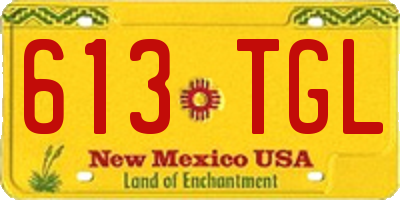 NM license plate 613TGL