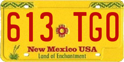 NM license plate 613TGO