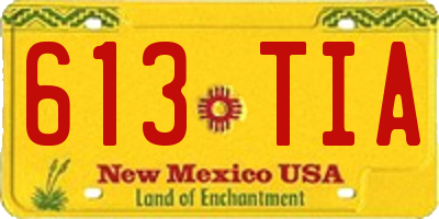 NM license plate 613TIA