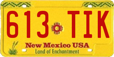 NM license plate 613TIK