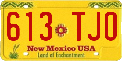NM license plate 613TJO