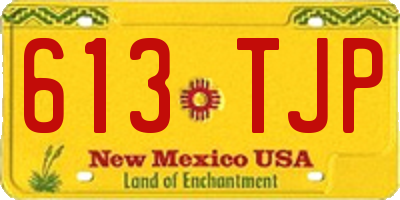 NM license plate 613TJP