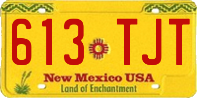 NM license plate 613TJT
