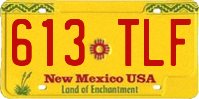 NM license plate 613TLF