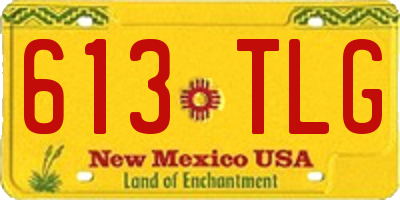 NM license plate 613TLG