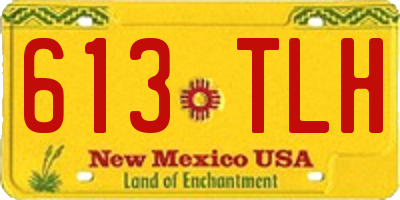 NM license plate 613TLH