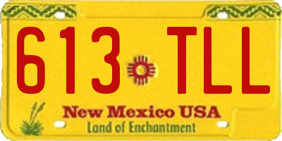 NM license plate 613TLL