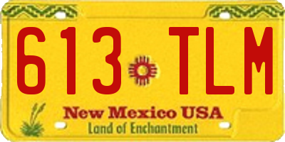 NM license plate 613TLM