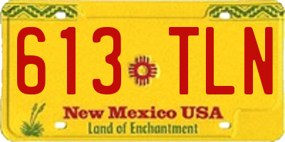 NM license plate 613TLN