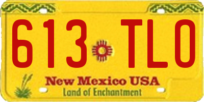 NM license plate 613TLO