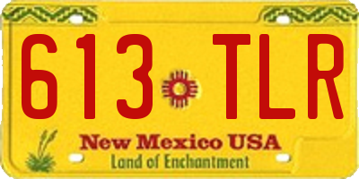 NM license plate 613TLR