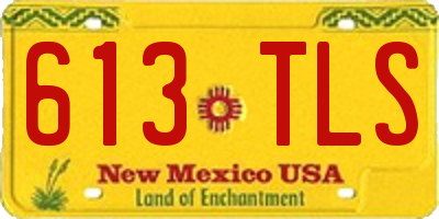 NM license plate 613TLS