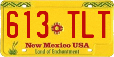 NM license plate 613TLT