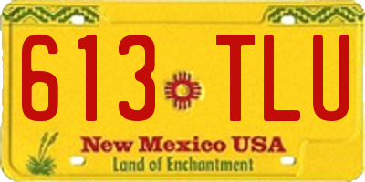 NM license plate 613TLU