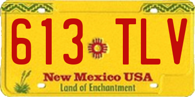 NM license plate 613TLV