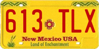NM license plate 613TLX