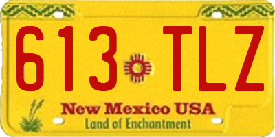 NM license plate 613TLZ