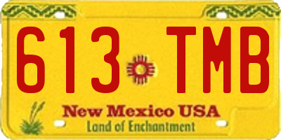 NM license plate 613TMB