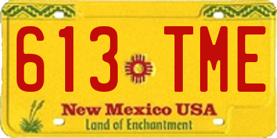 NM license plate 613TME