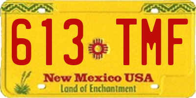 NM license plate 613TMF