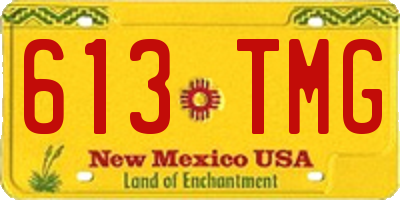 NM license plate 613TMG