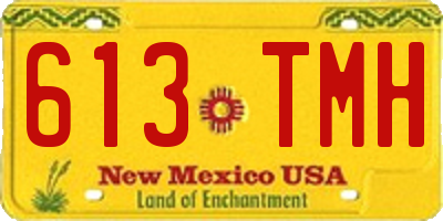 NM license plate 613TMH