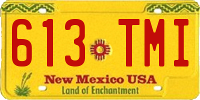 NM license plate 613TMI