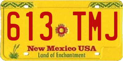 NM license plate 613TMJ