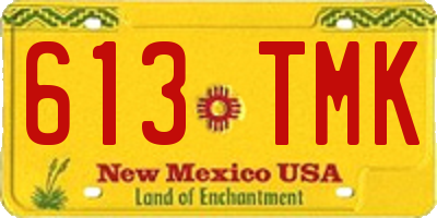NM license plate 613TMK