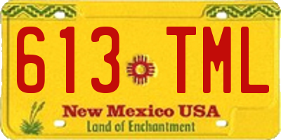 NM license plate 613TML
