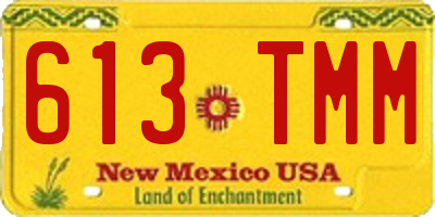 NM license plate 613TMM