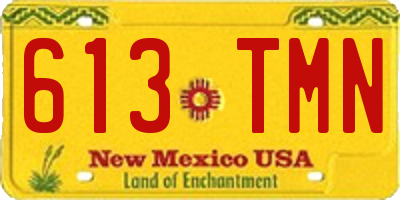 NM license plate 613TMN