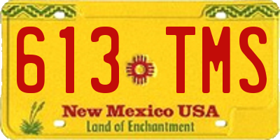 NM license plate 613TMS