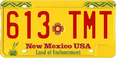 NM license plate 613TMT