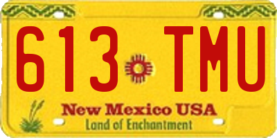 NM license plate 613TMU
