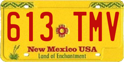 NM license plate 613TMV