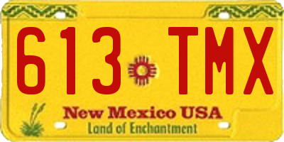 NM license plate 613TMX