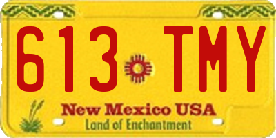 NM license plate 613TMY