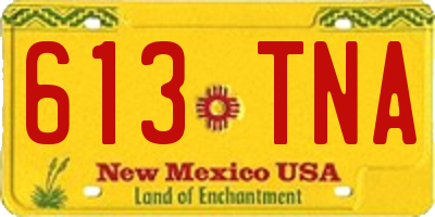 NM license plate 613TNA