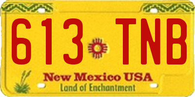 NM license plate 613TNB