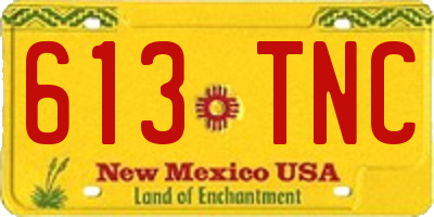 NM license plate 613TNC